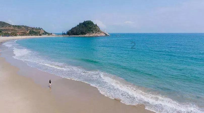 松材线虫DNA检测仪